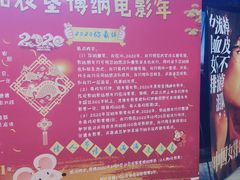 -农垦博纳国际影城(津奥广场IMAX店)