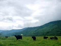 景点-硗碛藏寨·神木垒景区