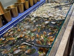 -丰卓会海鲜自助(中润大道店)