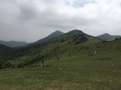 -大姆山草场