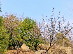 -白水寺森林公园