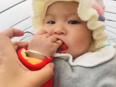 -恒绿农产品草莓采摘园