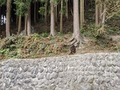 -太阳湾风景区