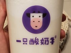 -一只酸奶牛(八一路店)