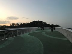 景点-飞凤山奥体公园