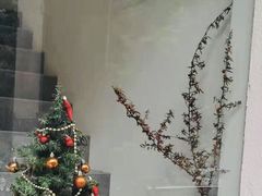 -左悦·艾灸调理·推拿按摩·精油SPA(卓悦汇店)
