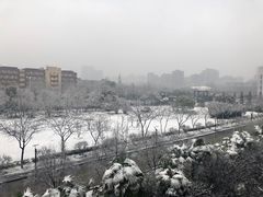 -安徽大学(龙河校区)