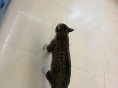 -鑫鸿达·海鲜闽菜热炒小馆(中山路店)