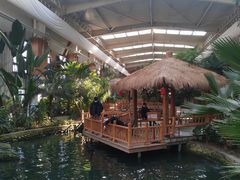 -南宫五洲植物乐园