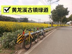 -黄龙溪古镇