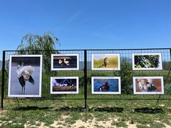 -野鸭湖国家湿地公园
