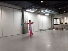 -舞蕾舞蹈(特长生校区)