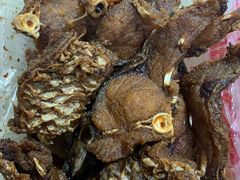 -梅记大块头爆鱼店(乍浦路店)