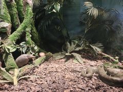 -天津自然博物馆