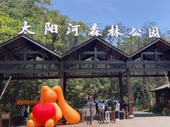 -普洱太阳河森林公园