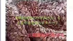 -可丽可心身材管理中心