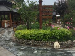 -华山御温泉度假村