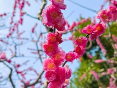 -静安雕塑公园