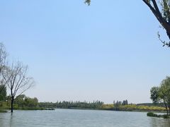-东郊湿地公园