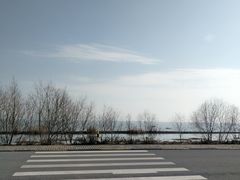 -贡湖湾湿地公园