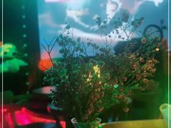 -枫林晚音乐串吧