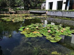 -杭州城北体育公园