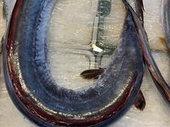 -海峡水产品交易中心(海鲜交易区)