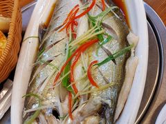 -老味道1992(武当山店)