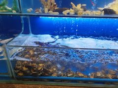 -芭菲盛宴·环球美食(锦城万达广场店)