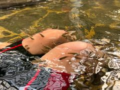 -龙达温泉生态城