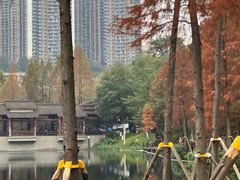 -重庆彩云湖湿地公园
