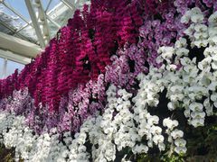 -石家庄市植物园