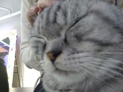 -极木²邸 人与宠物·互动社区