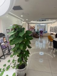 -至简医疗美容·医生集团
