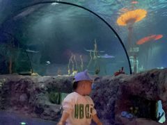 -沈阳海洋探索中心