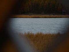 -塞罕坝国家级自然保护区