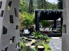 -深圳仙湖植物园