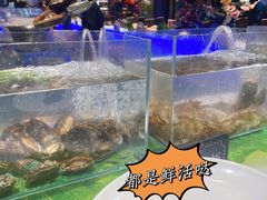 -宴立方海鲜自助(义乌万达广场店)