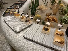 -OUR Bakery(SKP-S店)