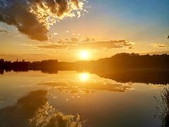 -大兴滨河森林公园