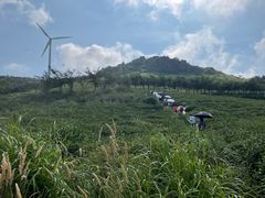 -东白山
