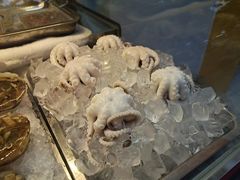 -铭聚章鱼土笋冻(松柏店)