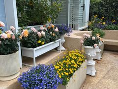 -苏小糖(鼓浪屿三丘田花园店)