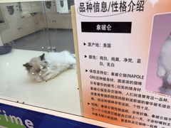 -万达广场(南宁青秀店)