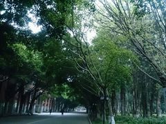 -广东外语外贸大学(白云山校区)
