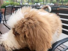 -向森咖啡·蛋糕·简餐