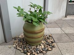 -重庆富力艾美酒店
