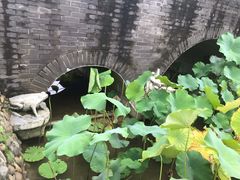 -四川大学(华西校区)