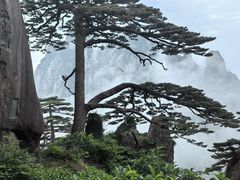 -黄山风景区
