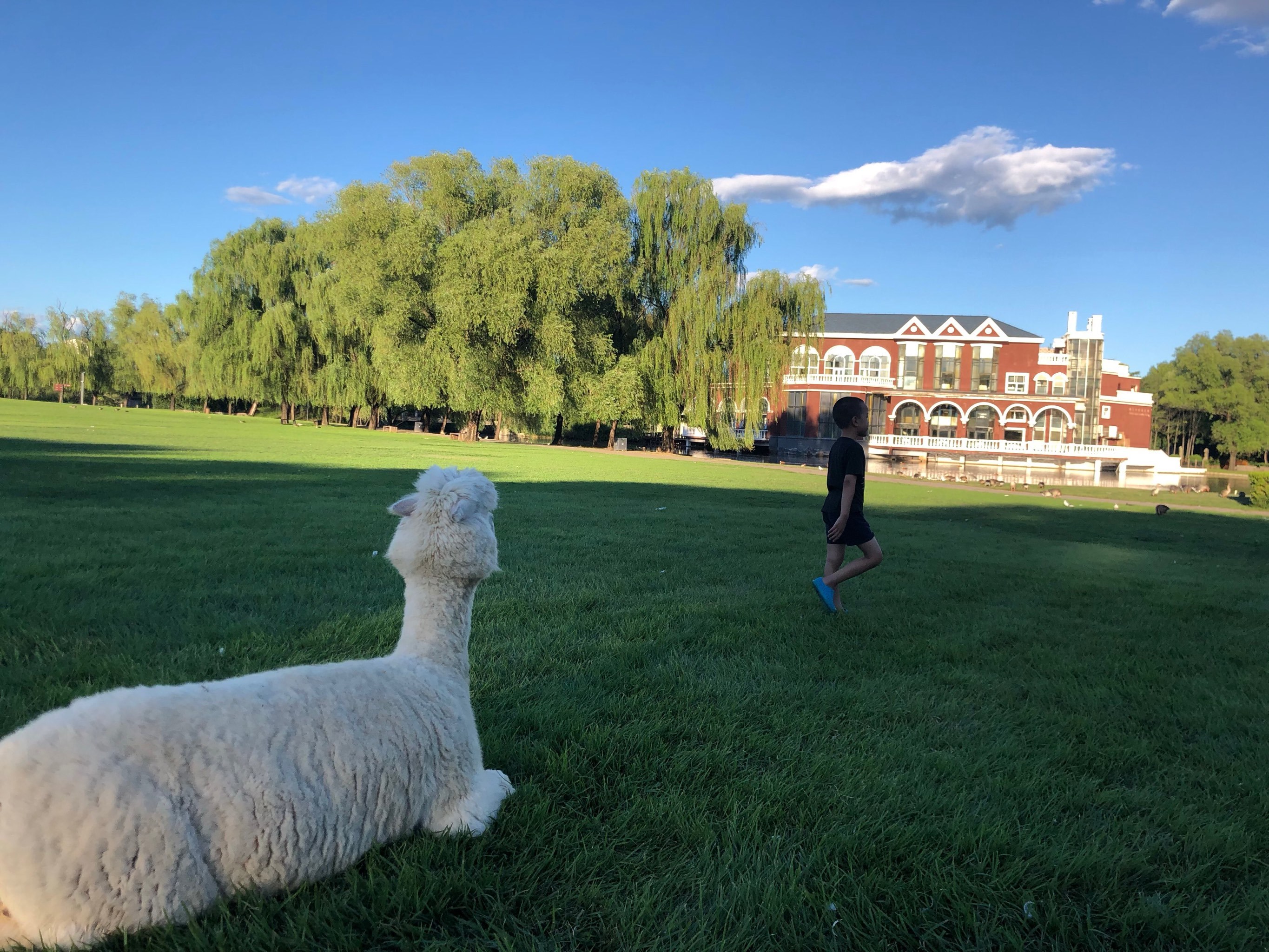 紫玉山庄五期艺术家别墅yyds